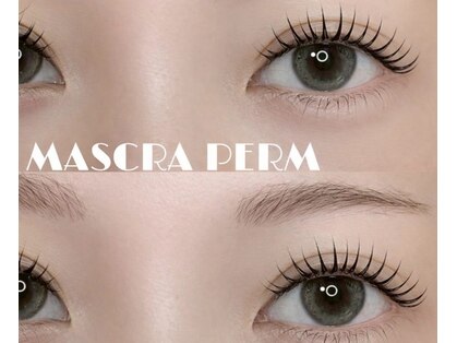 プリート(Pulito)の写真