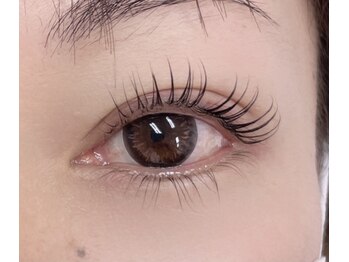 シーク(Seak)/上下ラッシュリフト