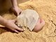 アンドユー エンザイム スパ(&U enzyme spa)の写真/酵素浴中にセラピストがヘッドマッサージ！頭痛や肩こりにお悩みの方に◎頭皮の血行を促進、お悩みを改善！