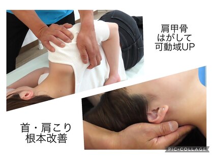 ABCの写真