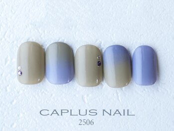 キャプラスネイル ミートトゥリー 中津川(CAPLUSNAIL meettree)/■シンプルプラン■ 2506