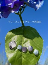 ティーエヌ たまプラーザ店/《季節限定》たまプラーザ店限定