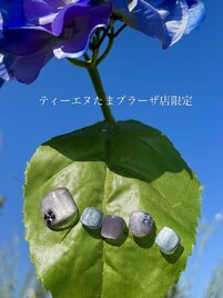 《季節限定》たまプラーザ店限定