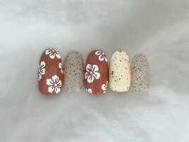ハイビスカス