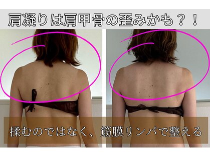 シューライフ(Syu-Life)の写真