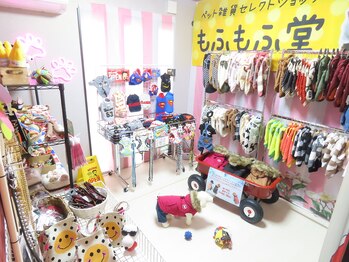 マシェリ(ma-che'rie)/ワンちゃんグッズも大人気！