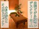 オーサスパ(Osa Spa)の写真
