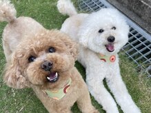 別室にしまっていますU^ェ^U