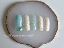 定額デザイン/シェルネイル