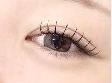 チェミール(CHEMIR)/フラットラッシュ100本