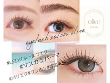 オリーブ(olive)