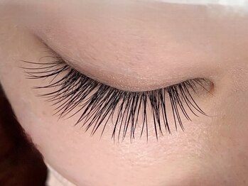 トゥルース 桜木(Truth)/Jカール120本