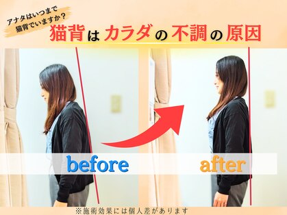 ねこのせなかの写真