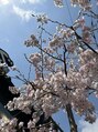 シキ 辻堂店(shiki)&nbsp;桜が咲く春が1番好きです。桜餅が早く食べたいです、、