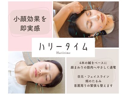 ハリータイムの写真