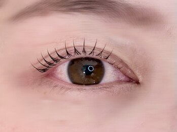 キト(QUITO)/ラッシュリフト