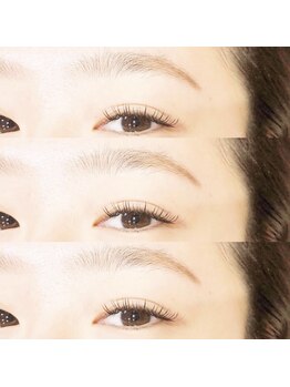 レミア 戸塚(REMIA)/ダブルフラットラッシュ