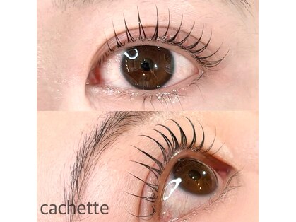 カシェット(cachette)の写真