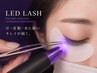 《長持ち重視◎》LEDフラットラッシュ120本まで＼￥5650