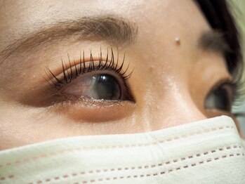 ブリック(BRICK)/PARISIENNE LASHLIFT 