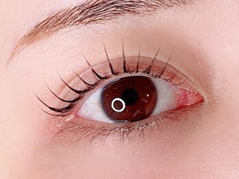 リー(Rii)/大人気デザイン