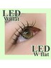 【高持続ＬＥＤエクステ】ＬＥＤダブルフラット120束　￥10300