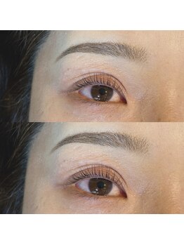 ラフェスタ ビューティー(Lafesta Beauty)/ラッシュリフト、アイブロウ