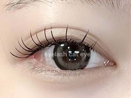 アイラッシュ キャット アイ(eyelash cat eye)の写真