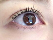 ドレス アイラッシュ(Dress eyelash)/ラッシュリフト(まつげパーマ)