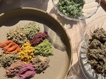 バトン 北千住(BATON)/植物そのものの色味の野草たち