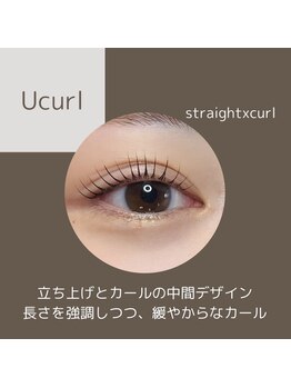 セレーノ 横浜店(seReno)/パリジェンヌ / ラッシュリフト