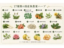 オハギ(Ohagi)/１７種類の無農薬ハーブ使用♪