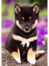 ヒグチ HILLS店(HIGUCHI) 野々村 一