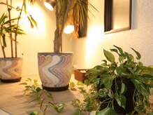 サロン モモコ(momoco)/建物内のインテリア