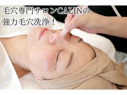 カラン(CALIN)の写真