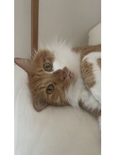 キャッスル(Castle) Tomoka 