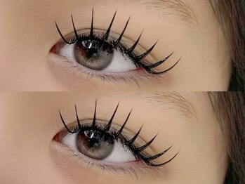 トムテ(tomte)/ダブルフラットラッシュ