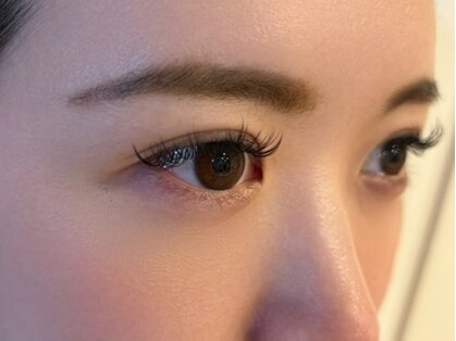 セレブリティの写真