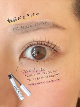 ノエル(Noel)/ラッシュアディクト 担当なぎ