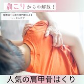 サノソウル 楽看(Sano Soul)