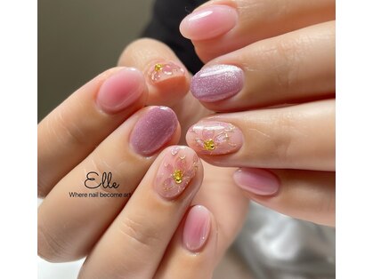 エル(Elle)の写真