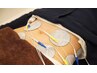 【腰痛・ダイエット・筋力低下】寝たままトレーニング　マッサージ+EMS　60分