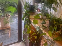 アジアンリラクゼーション ヴィラ 二子玉川店(asian relaxatin villa)/緑がたくさん