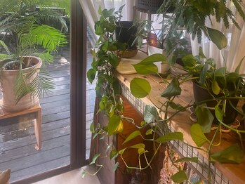 アジアンリラクゼーション ヴィラ 二子玉川店(asian relaxatin villa)/緑がたくさん