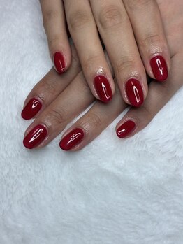 オランダエステティック(Holland Esthetics)/ワンカラー