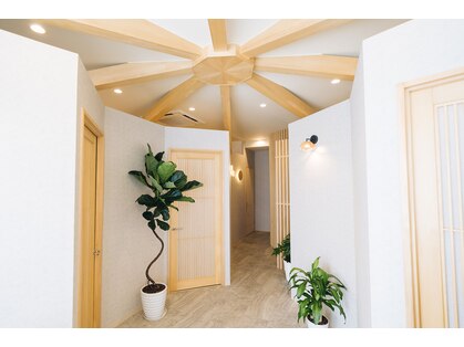 ムク(MUKU)の写真