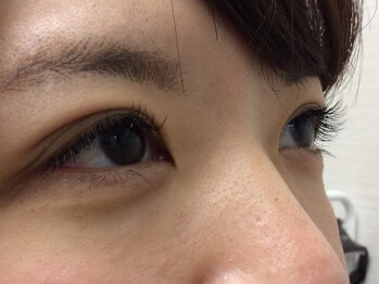 シュシュ(chou chou)/セーブル100本(chouchou吉祥寺)