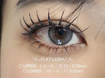 ビーナスベルト 池袋(VENUS BELT)/上下フラットラッシュ