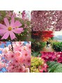 ボディケア爽心 季節の花を追いかけていくのが好きです。見る専門で(^^♪