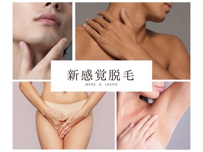 リノ(LINO)の写真
